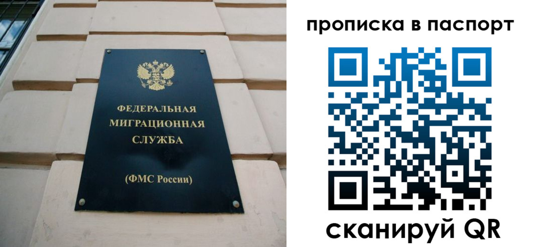прописка для работы в Купино